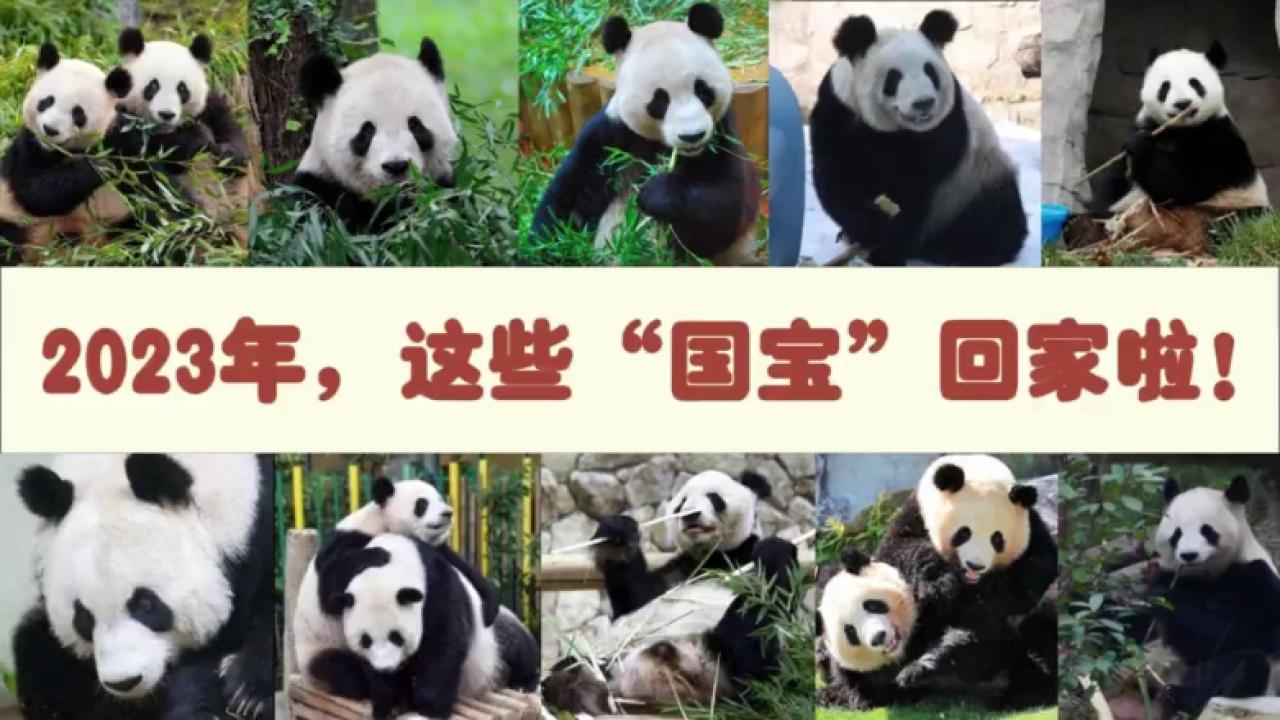 相关图片